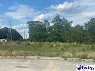 Lot E Washington St, Hartsville, SC 29550