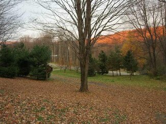 8271 Rohr Hill Rd, East Otto, NY 14729