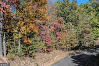 LOT 22 Meadow Brook Trail Unit 22, Morganton, GA 30560