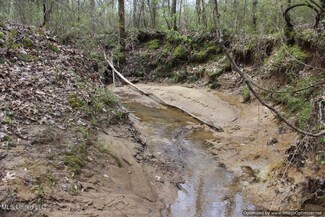 22000 Mississippi 35, Kosciusko, MS 39090