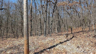 31 Ridgecrest Dr, Highland, AR 72542