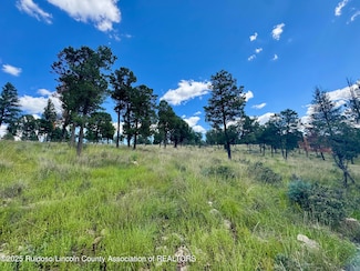 109 Guenevere Ave, Ruidoso, NM 88345