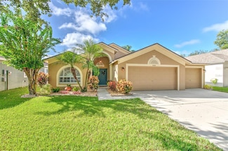 2505 Allwood Ave, Valrico, FL 33596