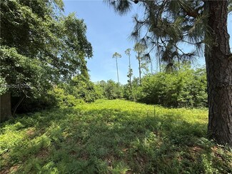 5 Caladium Ct, Hilton Head Island, SC 29926