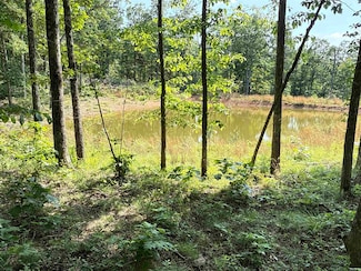 00 Nickel Dr, Witt Springs, AR 72686