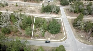 0 Guava Pass, Silver Springs Shores East, FL 32179