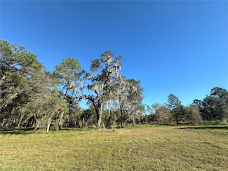 485ac NW 193rd St, Reddick, FL 32686