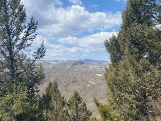 811 Crest Dr Unit 6, Cimarron, CO 81220