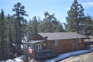 1861 Badger Rd, Hartsel, CO 80449