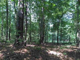 0 Walker Rd Unit 1278013, Benton, MS 39039