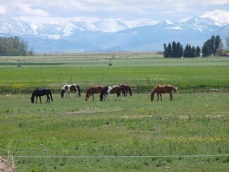 1420 2nd Rd SW, Fairfield, MT 59436