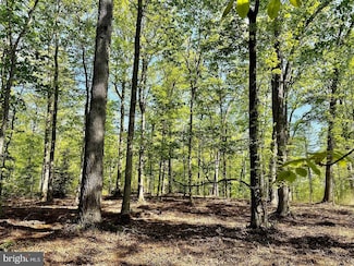 0 Lot 2 Tapps Ford Rd, Amissville, VA 20106