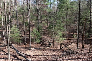 0 Rolly Rd Unit LotWP001 23098894, Mount Jackson, VA 22842