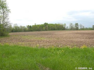3780 Brick Schoolhouse Rd, Hamlin, NY 14464