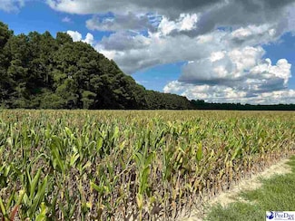 tbd Judson Rd, Dillon, SC 29536