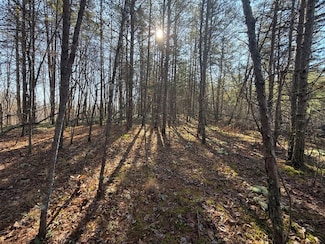 Wild Dog Creek Lot Unit Wp 1112 & 13, Tyner, KY 40486