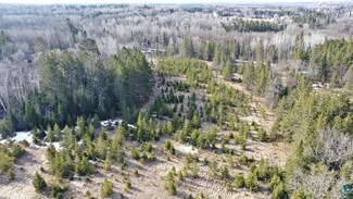 TBD Highway 115, Cook, MN 55723