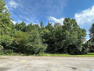 7763 Clayton Cove Pkwy Unit 6, Pinson, AL 35126