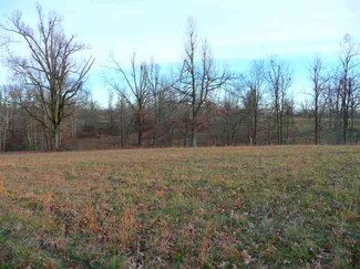000 Morning Meadows Lane Tract 3 Unit Tract 3, Wickliffe, KY 42087