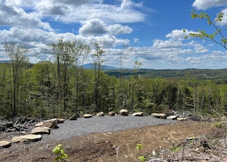 1180 Abbott Hill Rd, Newark, VT 05871