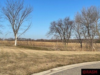 0 Tbd N Tustin Cir, Elysian, MN 56028