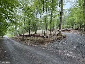 Lots 54 & 53 Sloan Tract Rd, Oakland, MD 21550