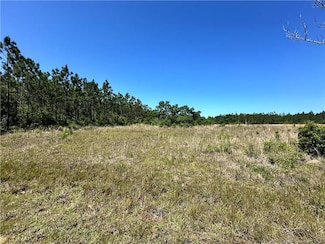 0 Panhandle Rd, Dequincy, LA 70633