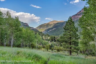 374 Elk Mountain Dr, Redstone, CO 81623