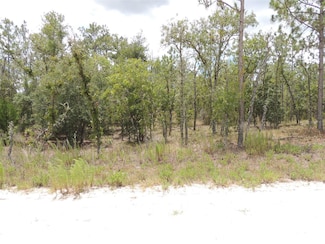 14670 SE 4th St, Williston, FL 32696