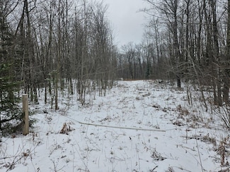 ON Trott Rd, Mellen, WI 54546