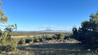 0 Tomahawk Unit 20245716, Quemado, NM 87829