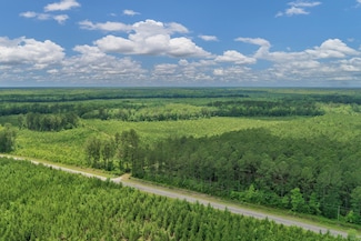 N Brewington Rd, Manning, SC 29102