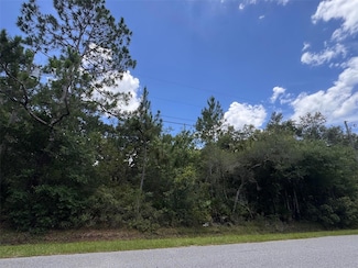 18422 Hewlett Rd, Bithlo, FL 32820