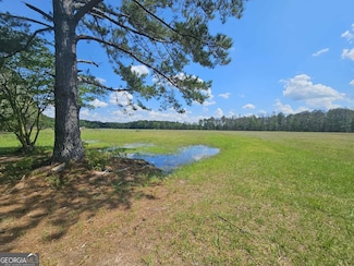 10143 Highway 80 E, Brooklet, GA 30415