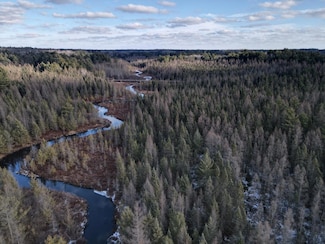 Off Hwy 51 Unit 438 Acres, Minocqua, WI 54548