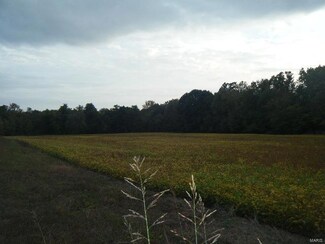 0 43 24 Acres- Hinnah Ln Unit 15053570, Augusta, MO 63332