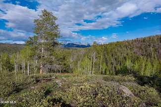 TBD Dr Unit n/a, Tabernash, CO 80478