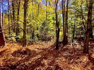 36 Kimberly Cir, Thornhurst, PA 18424
