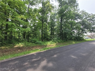 1246 Laurel Dr, Jackson Township, OH 44287