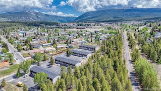921 Mount Massive Dr Unit 27, Leadville, CO 80461