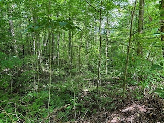 Lot 50 Grand View Estates Dr, Whittier, NC 28789