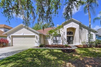 3519 Shadowood Dr, Valrico, FL 33596