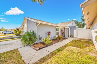 11045 Springridge Dr, Tampa, FL 33624