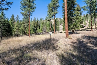 Lot 19 Caddisfly Ct, Clinton, MT 59825