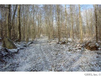 1111 State Rt 812 Off of, Croghan, NY 13327