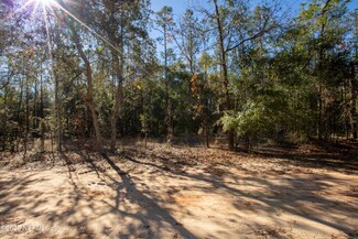 109 Gator Trail, Melrose, FL 32666