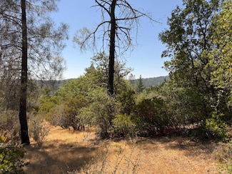 14973 La Place Ln, Dobbins, CA 95919