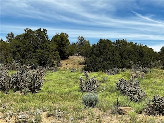 Lot 589 La Deora Blvd, Walsenburg, CO 81089