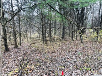 66 - F Derrick von Brummel Cir, Sleepy Hollow Lake, NY 12015