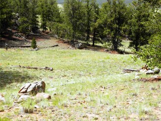 780 Cathy Dr Unit 167, Hartsel, CO 80449